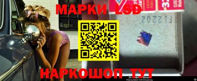 стафф Заводоуковск
