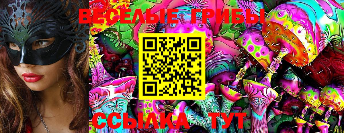 Псилоцибиновые грибы Psilocybe  Вход с VPN  Галлюциногенные грибы Psilocybine cubensis  Медногорск 